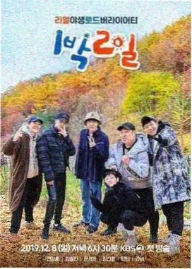 91免费视频app参数调优字幕偏好设置配图